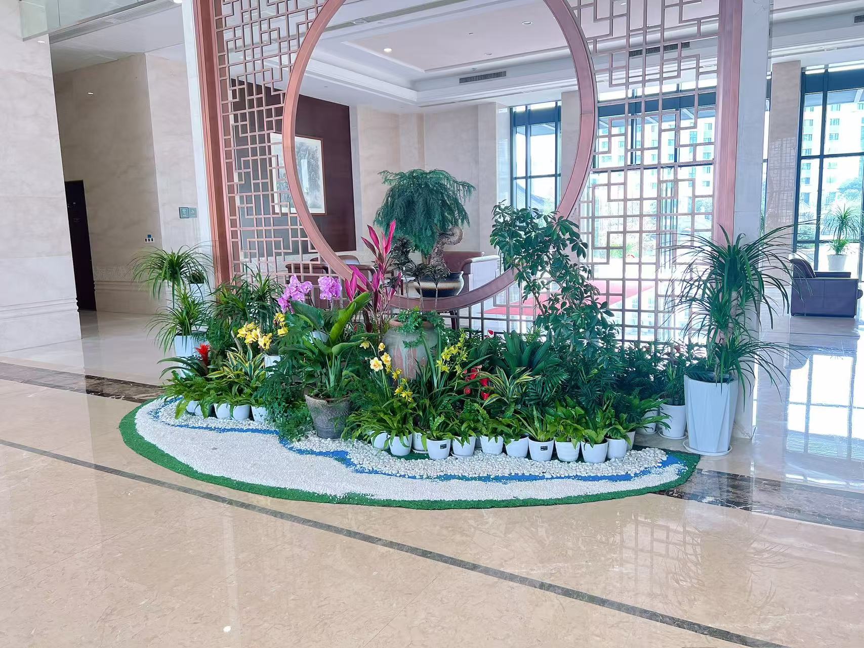 鄞州绿植租赁价格实惠